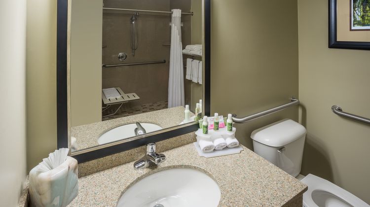 Holiday Inn Express & Suites St. Paul Room