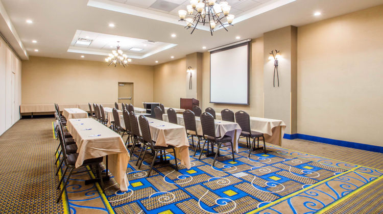 Holiday Inn Express & Suites Arpt Wolf Meeting