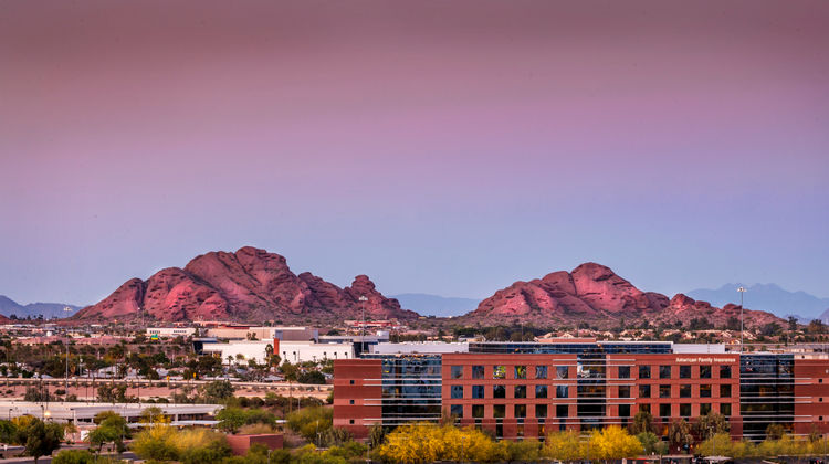 Crowne Plaza Phoenix Airport - PHX Room