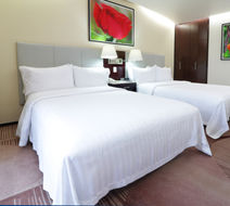 Holiday Inn Hotel & Suites Medica Sur Room