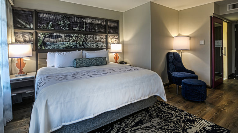 <b>Hotel Indigo Birmingham Five Points S Room</b>. Images powered by <a href="https://www.leonardoworldwide.com/" title="Leonardo Worldwide" target="_blank">Leonardo</a>.