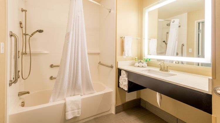 Holiday Inn Express & Suites Castle Rock Room