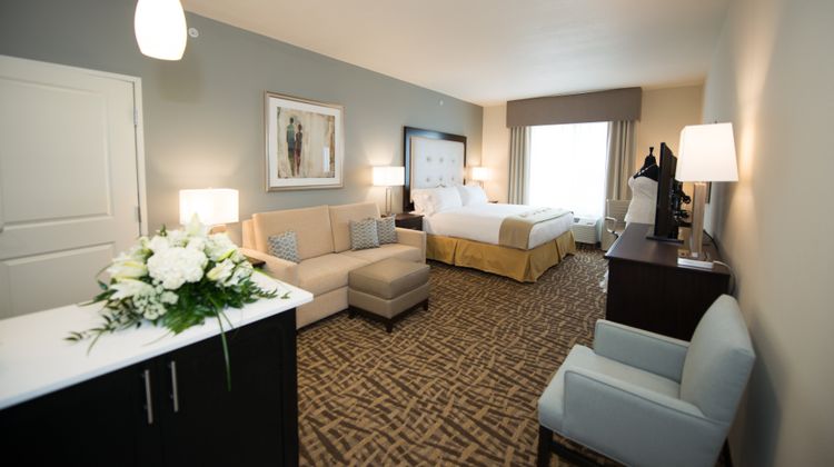 Holiday Inn Express & Suites Castle Rock Room