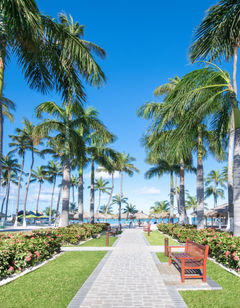 Holiday Inn Resort & Casino Aruba Beach