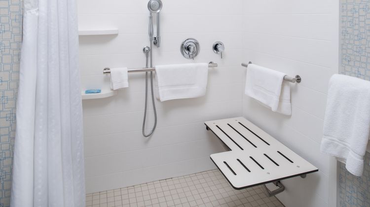 Holiday Inn Express Hotel & Suites Room