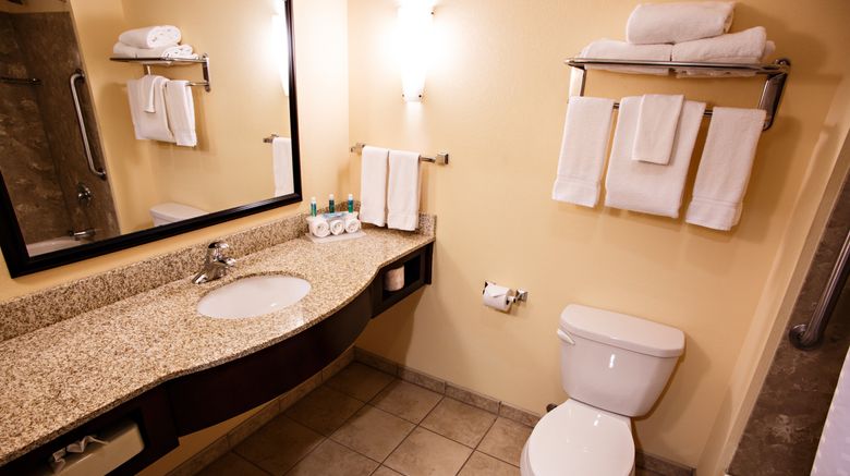 <b>Holiday Inn Express/Stes Harrisburg W Room</b>. Images powered by <a href="https://www.leonardoworldwide.com/" title="Leonardo Worldwide" target="_blank">Leonardo</a>.