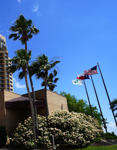 Holiday Inn Downtown Marina