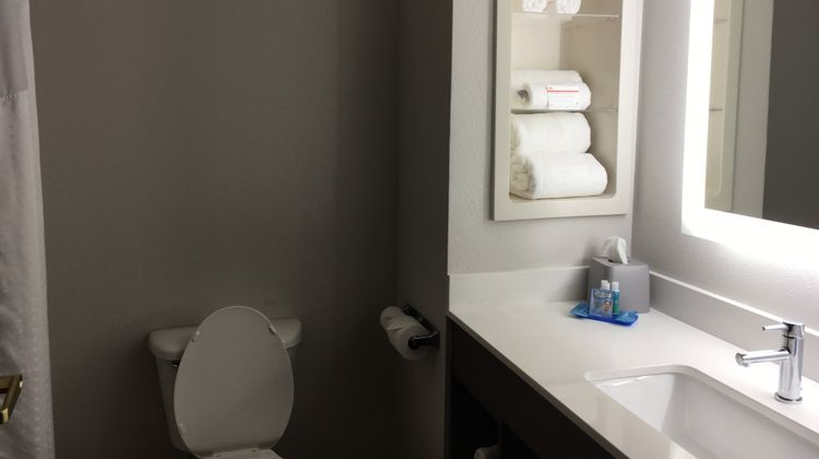 Holiday Inn Express Hotel & Suites Room