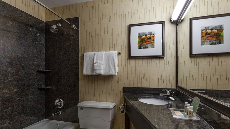 <b>Holiday Inn Chicago North-Evanston Room</b>. Images powered by <a href="https://www.leonardoworldwide.com/" title="Leonardo Worldwide" target="_blank">Leonardo</a>.