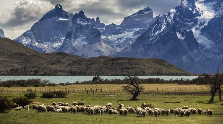 Awasi Patagonia Hotel Exterior