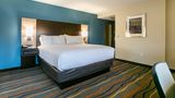 Holiday Inn Hotel & Suites Downtown Room