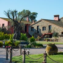 Salles Hotel Mas Tapiolas
