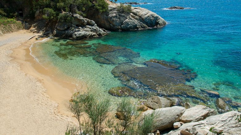 <b>Salles Hotel & SPA Cala del Pi Other</b>. Images powered by <a href="https://www.leonardoworldwide.com/" title="Leonardo Worldwide" target="_blank">Leonardo</a>.