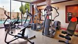 <b>Holiday Inn Dallas Market Center Health Club</b>. Images powered by <a href="https://www.leonardoworldwide.com/" title="Leonardo Worldwide" target="_blank">Leonardo</a>.