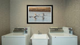 Holiday Inn Express & Stes Medicine Hat Other