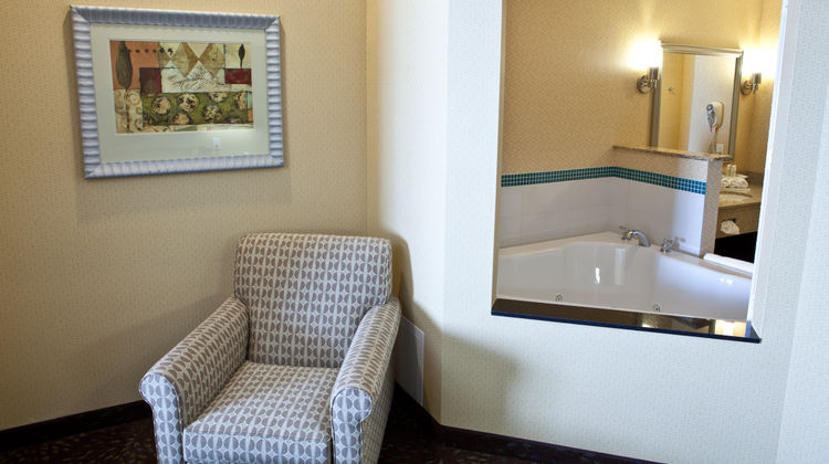 Holiday Inn Express Dimondale Suite
