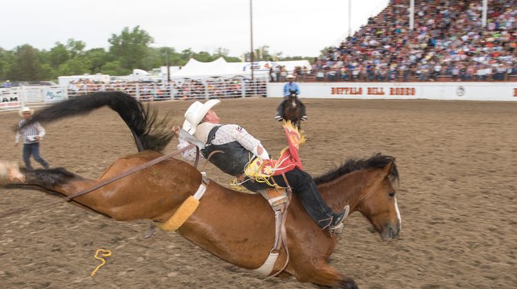 Holiday Inn Express North Platte Other