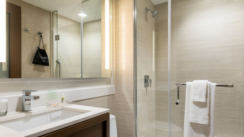 <b>Holiday Inn Brooklyn Downtown Room</b>. Images powered by <a href="https://www.leonardoworldwide.com/" title="Leonardo Worldwide" target="_blank">Leonardo</a>.