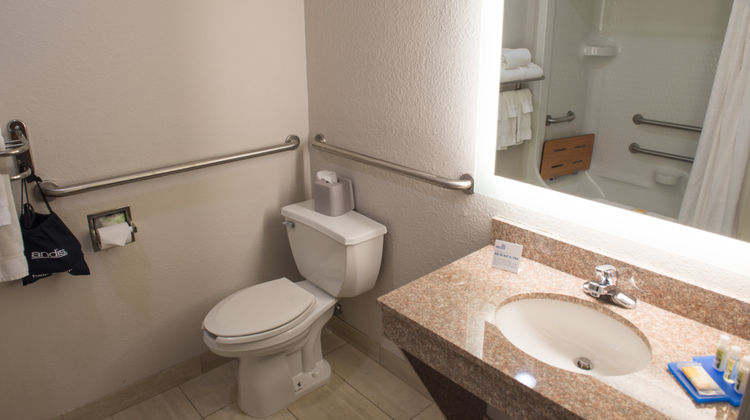 Holiday Inn Express Elkhart Room