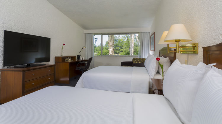 Gamma Pachuca Room