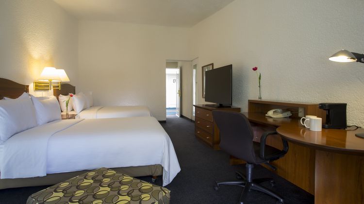 Gamma Pachuca Room
