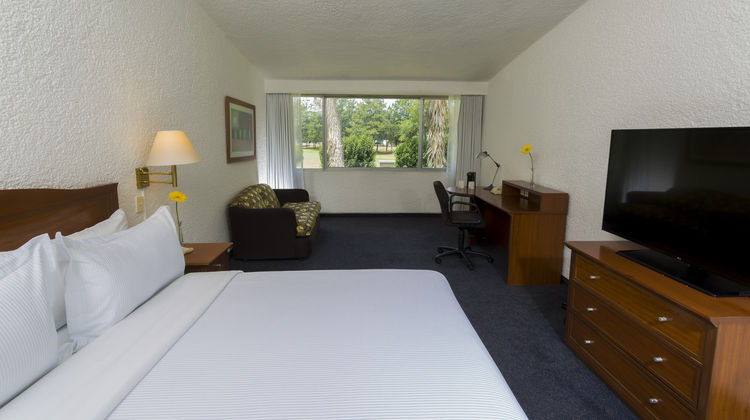 Gamma Pachuca Room