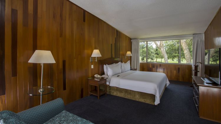 Gamma Pachuca Suite