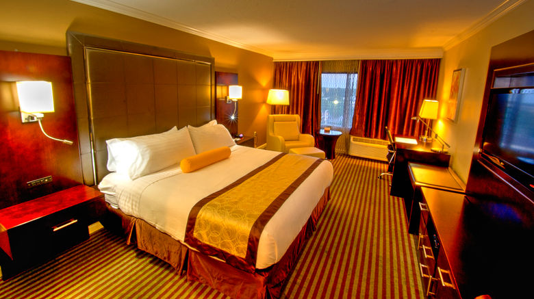 <b>Holiday Inn Orlando East-UCF Area Room</b>. Images powered by <a href="https://www.leonardoworldwide.com/" title="Leonardo Worldwide" target="_blank">Leonardo</a>.
