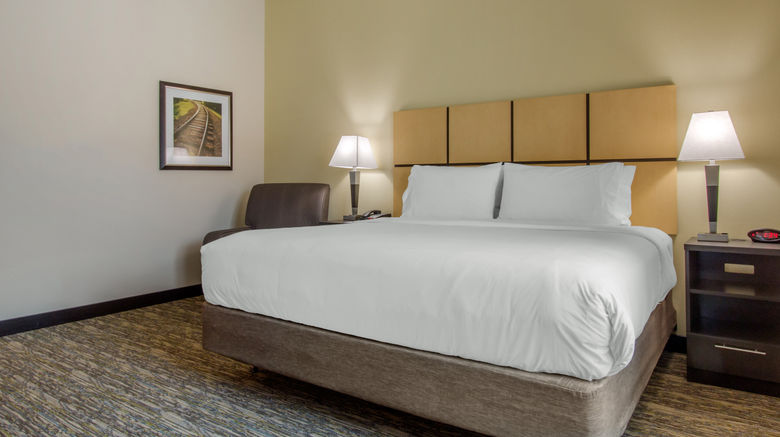 <b>Candlewood Suites San Antonio Lackland Room</b>. Images powered by <a href="https://www.leonardoworldwide.com/" title="Leonardo Worldwide" target="_blank">Leonardo</a>.