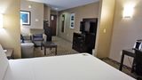 <b>Holiday Inn Express Hotel & Suites Suite</b>. Images powered by <a href="https://www.leonardoworldwide.com/" title="Leonardo Worldwide" target="_blank">Leonardo</a>.