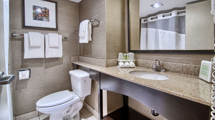 Holiday Inn Express-Detroit/Birmingham Room