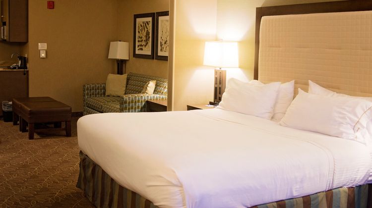 Holiday Inn Express Hotel & Suites Suite