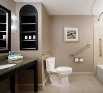 Holiday Inn Express Hotel & Suites Room