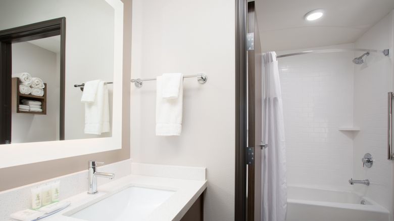 <b>Staybridge Suites Rushmore Room</b>. Images powered by <a href="https://www.leonardoworldwide.com/" title="Leonardo Worldwide" target="_blank">Leonardo</a>.