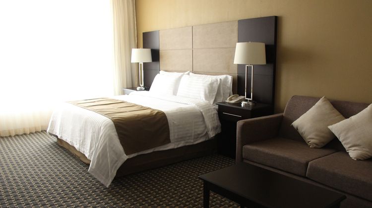 Holiday Inn Mexico Santa Fe Room