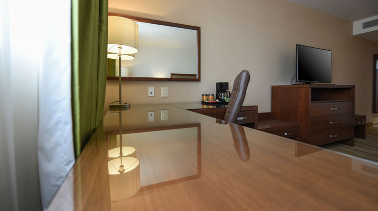 Holiday Inn Express & Suites Celaya Room