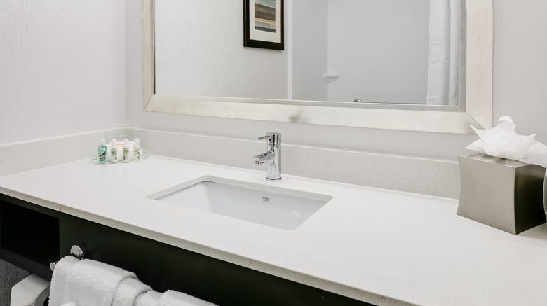 <b>Holiday Inn Hotel & Suites Room</b>. Images powered by <a href="https://www.leonardoworldwide.com/" title="Leonardo Worldwide" target="_blank">Leonardo</a>.