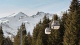 White 1921 Courchevel Other
