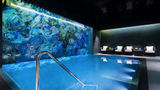 Lotte Hotel Spa