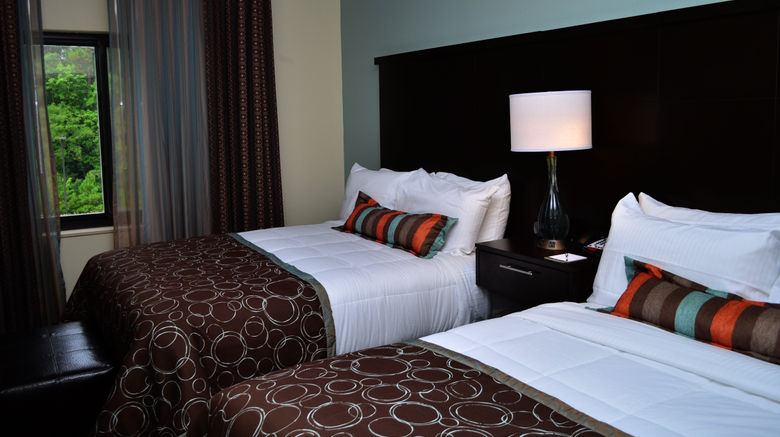 <b>Staybridge Suites Camp Lejeune Area Room</b>. Images powered by <a href="https://www.leonardoworldwide.com/" title="Leonardo Worldwide" target="_blank">Leonardo</a>.
