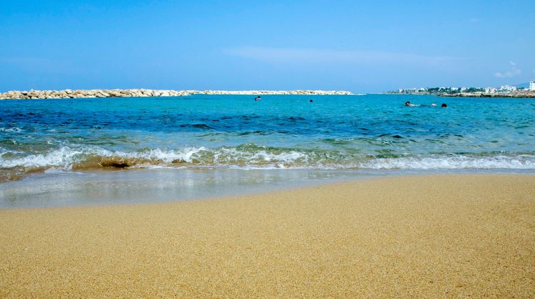 Venus Beach Hotel Beach