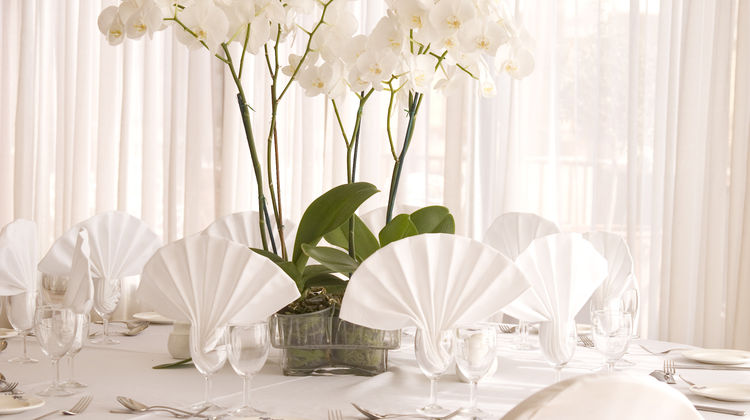 Venus Beach Hotel Ballroom