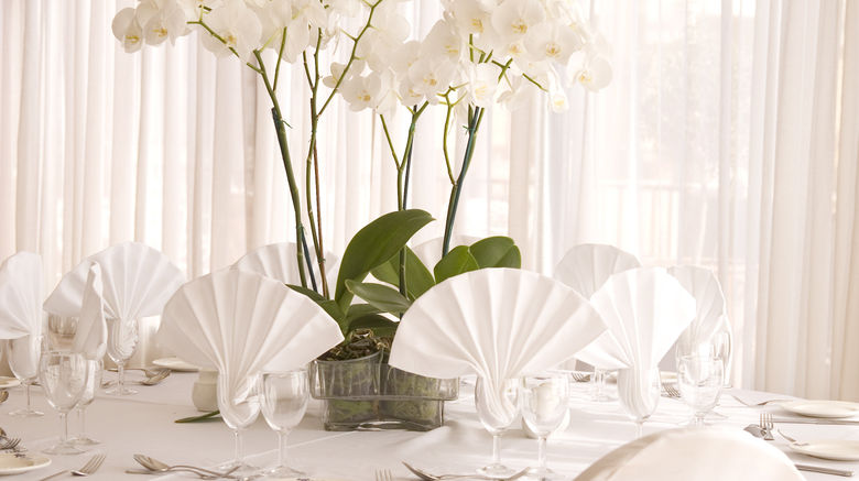 <b>Venus Beach Hotel Ballroom</b>. Images powered by <a href="https://www.leonardoworldwide.com/" title="Leonardo Worldwide" target="_blank">Leonardo</a>.