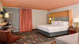 Holiday Inn Finger Lakes Region Suite