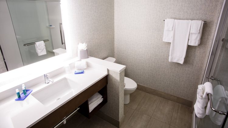 Holiday Inn Express/Suites Gettysburg SE Room