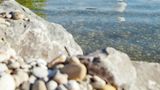 Ibis Styles Neckarsulm Recreation