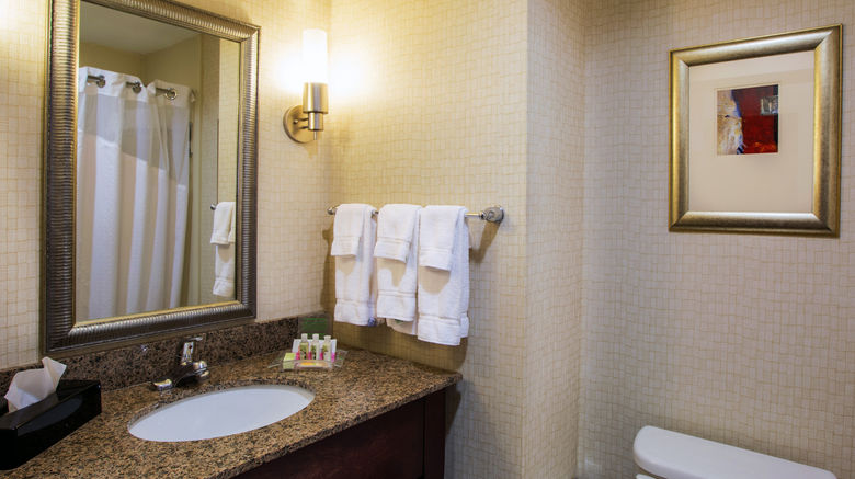 <b>Holiday Inn Oklahoma City Airport Room</b>. Images powered by <a href="https://www.leonardoworldwide.com/" title="Leonardo Worldwide" target="_blank">Leonardo</a>.