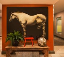 Holiday Inn Express & Suites Fredericton Lobby