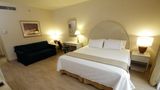 Holiday Inn Express Torreon Room