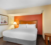 Holiday Inn Express Downers Grove Room